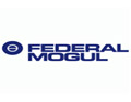 client-federalmogul-logo